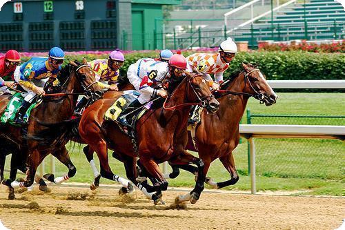Online Horse Racing Betting System