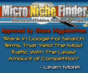 Learn How To Define Your Niche Market – Niche Marketing Exposed